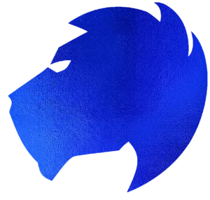 Contalium servicios y sistemas contables en Ecuador